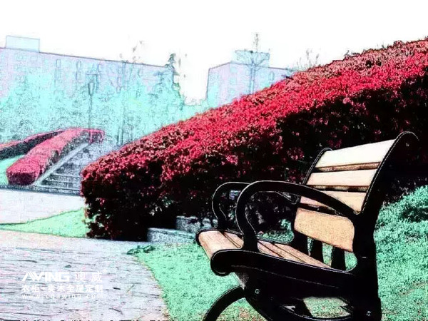 澳威全屋定制：毕业季的校园风景